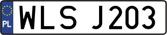 WLSJ203