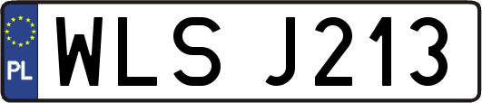 WLSJ213