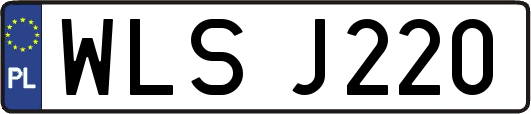 WLSJ220