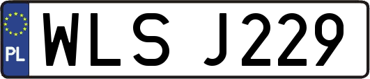 WLSJ229