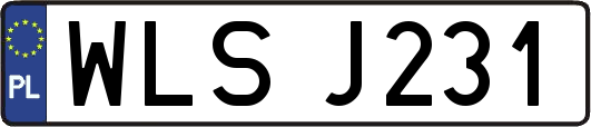 WLSJ231
