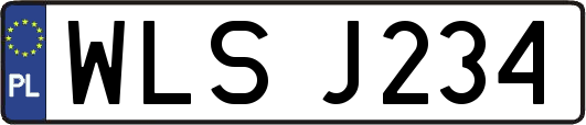 WLSJ234