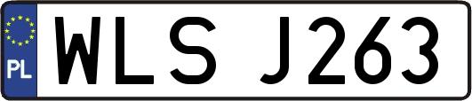 WLSJ263