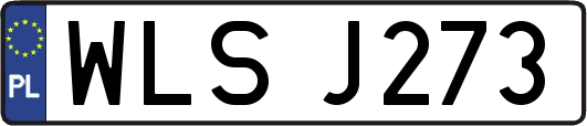 WLSJ273
