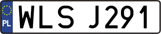 WLSJ291