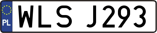 WLSJ293