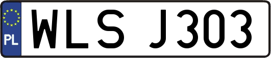 WLSJ303