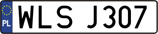 WLSJ307