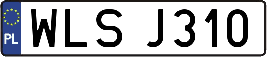 WLSJ310