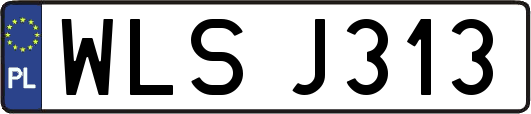 WLSJ313