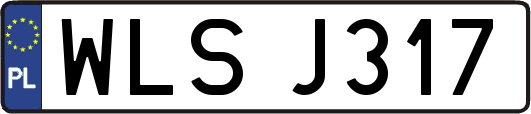 WLSJ317