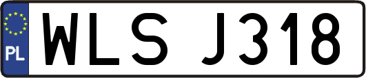 WLSJ318