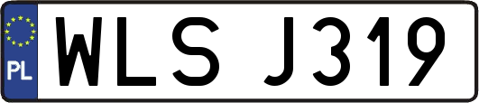 WLSJ319