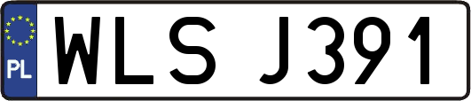 WLSJ391