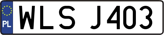 WLSJ403