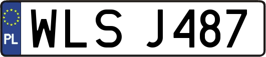 WLSJ487