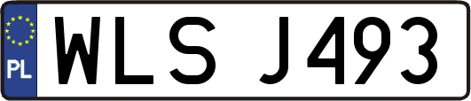 WLSJ493