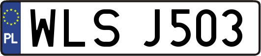 WLSJ503