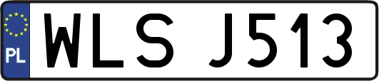WLSJ513