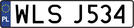 WLSJ534