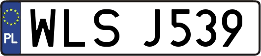 WLSJ539