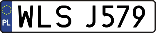 WLSJ579