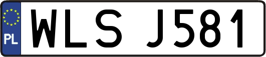 WLSJ581