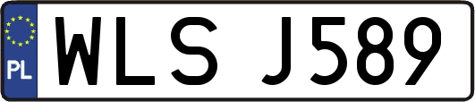 WLSJ589