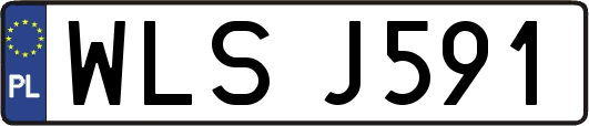 WLSJ591