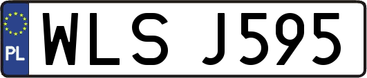 WLSJ595