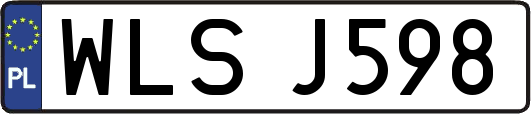 WLSJ598
