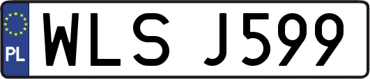 WLSJ599