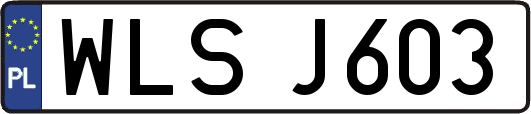 WLSJ603
