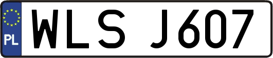 WLSJ607