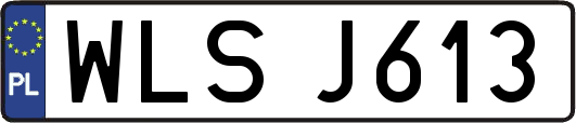 WLSJ613