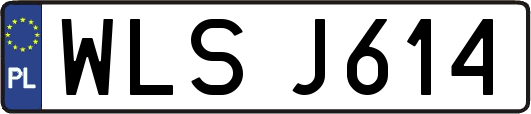 WLSJ614