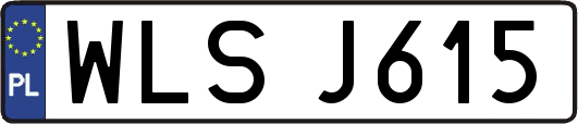 WLSJ615