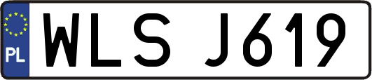WLSJ619