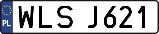 WLSJ621