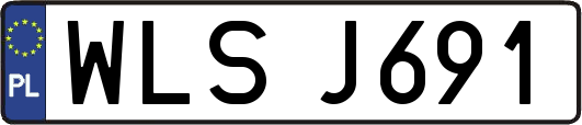 WLSJ691