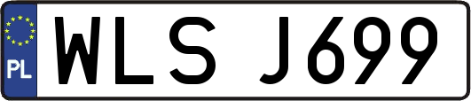WLSJ699