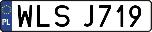 WLSJ719
