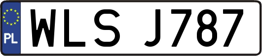WLSJ787