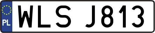 WLSJ813