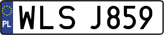 WLSJ859