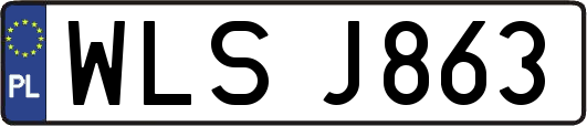 WLSJ863