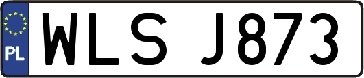 WLSJ873
