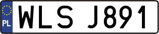 WLSJ891
