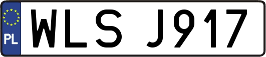 WLSJ917