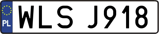 WLSJ918